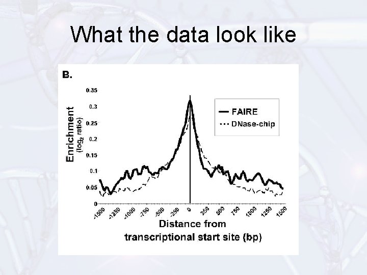 What the data look like 