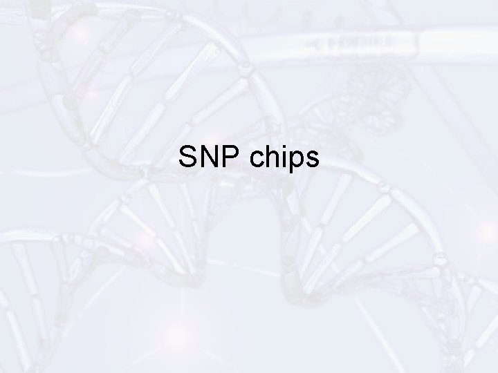 SNP chips 