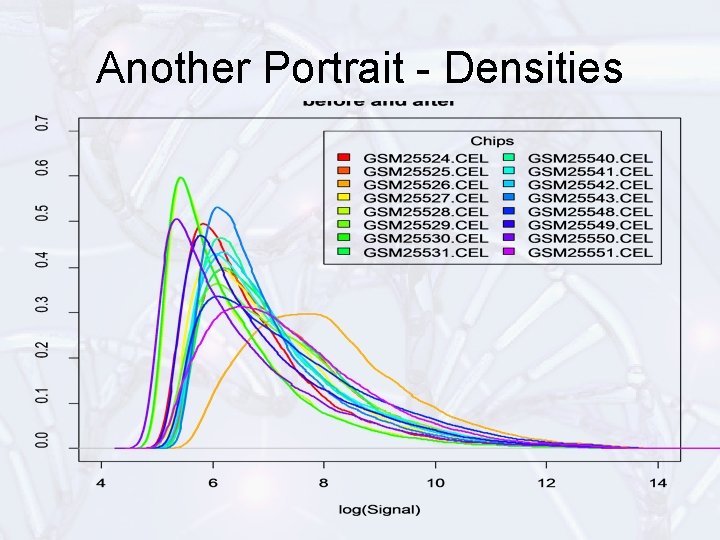 Another Portrait - Densities 