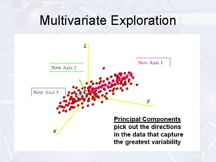Multivariate Exploration 