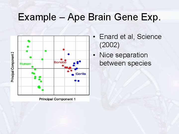 Example – Ape Brain Gene Exp. • Enard et al, Science (2002) • Nice