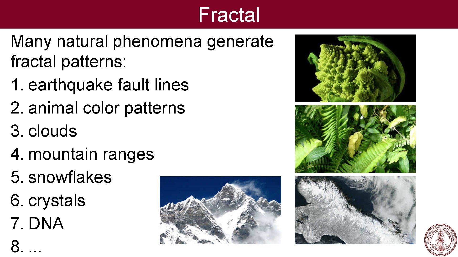 Fractal Many natural phenomena generate fractal patterns: 1. earthquake fault lines 2. animal color