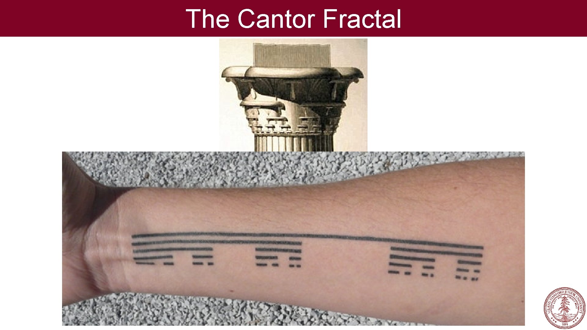 The Cantor Fractal 