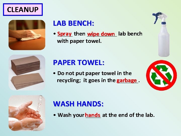 CLEANUP LAB BENCH: pray then _____ • S_____ wipe down lab bench with paper