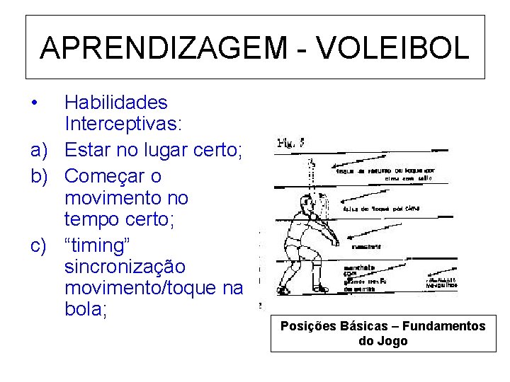 APRENDIZAGEM - VOLEIBOL • Habilidades Interceptivas: a) Estar no lugar certo; b) Começar o