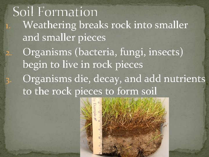 Soil Formation Weathering breaks rock into smaller and smaller pieces 2. Organisms (bacteria, fungi,