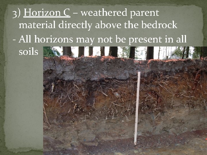3) Horizon C – weathered parent material directly above the bedrock - All horizons