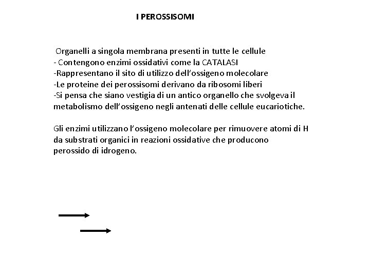 I PEROSSISOMI Organelli a singola membrana presenti in tutte le cellule - Contengono enzimi