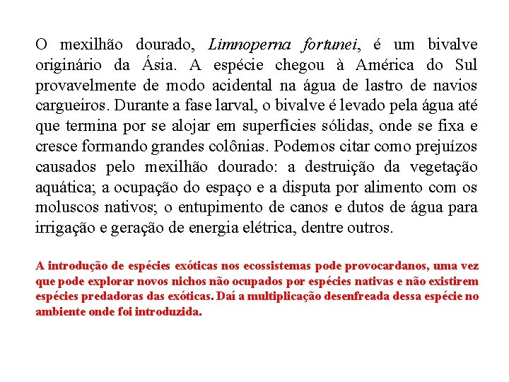 O mexilhão dourado, Limnoperna fortunei, é um bivalve originário da Ásia. A espécie chegou