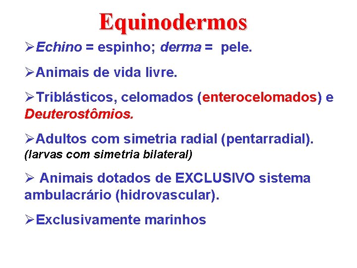 Equinodermos ØEchino = espinho; derma = pele. ØAnimais de vida livre. ØTriblásticos, celomados (enterocelomados)