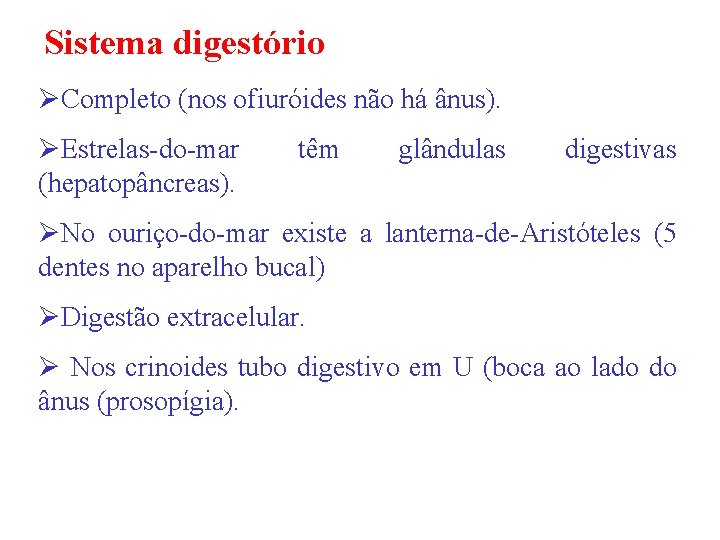 Sistema digestório ØCompleto (nos ofiuróides não há ânus). ØEstrelas-do-mar (hepatopâncreas). têm glândulas digestivas ØNo