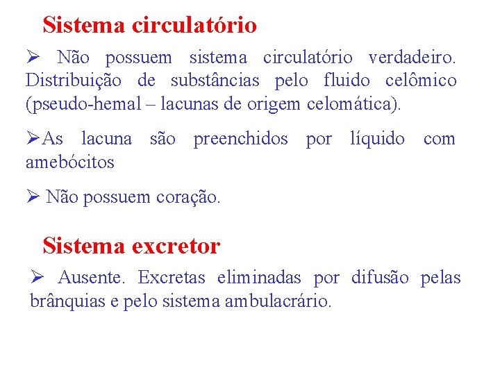 Sistema circulatório Ø Não possuem sistema circulatório verdadeiro. Distribuição de substâncias pelo fluido celômico
