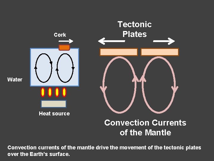 Cork Tectonic Plates Water Heat source Convection Currents of the Mantle Convection currents of