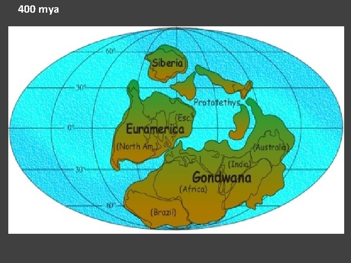 400 mya 