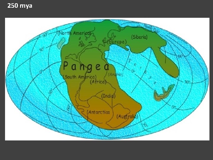 250 mya 
