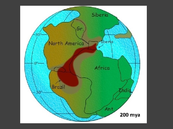200 mya 