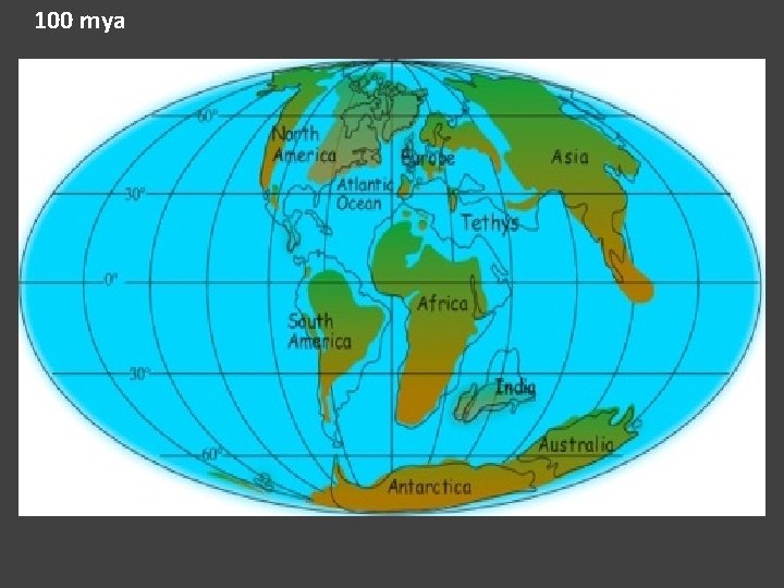 100 mya 