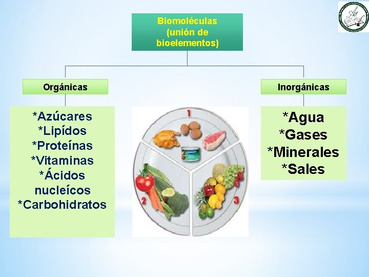 Biomoléculas (unión de bioelementos) Orgánicas *Azúcares *Lipídos *Proteínas *Vitaminas *Ácidos nucleícos *Carbohidratos Inorgánicas *Agua