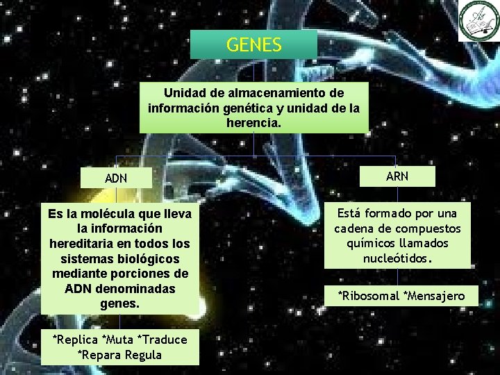 GENES Unidad de almacenamiento de información genética y unidad de la herencia. ADN Es