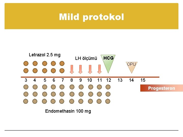 Mild protokol Letrazol 2. 5 mg LH ölçümü HCG OPU 3 4 5 6