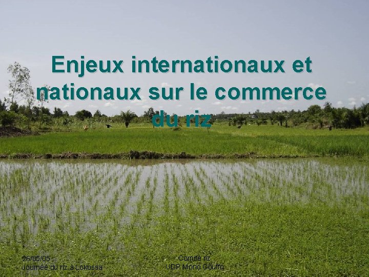 Enjeux internationaux et nationaux sur le commerce du riz 26/05/05 Journée du riz à