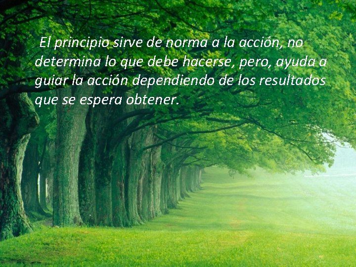El principio sirve de norma a la acción, no determina lo que debe hacerse,