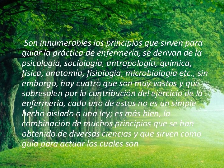 Son innumerables los principios que sirven para guiar la práctica de enfermería, se derivan