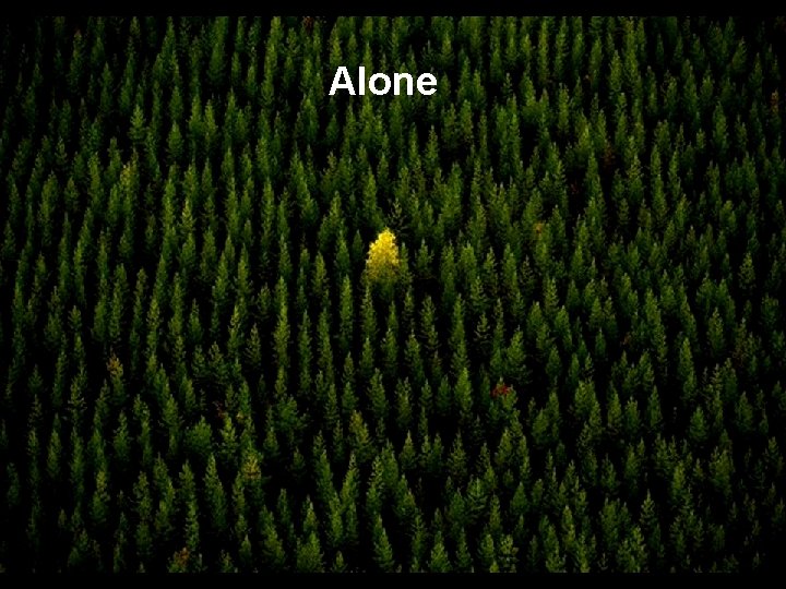 Alone 