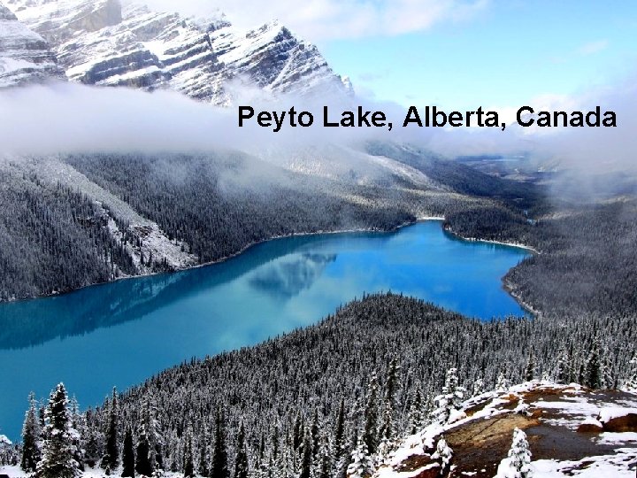 Peyto Lake, Alberta, Canada 