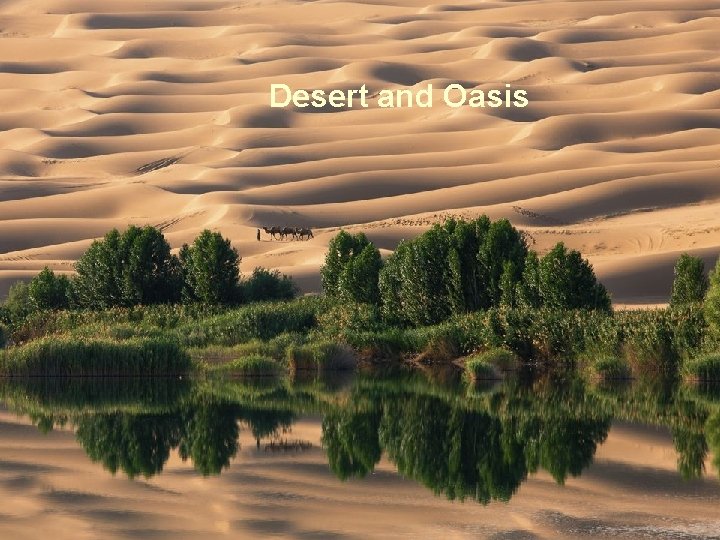 Desert and Oasis 