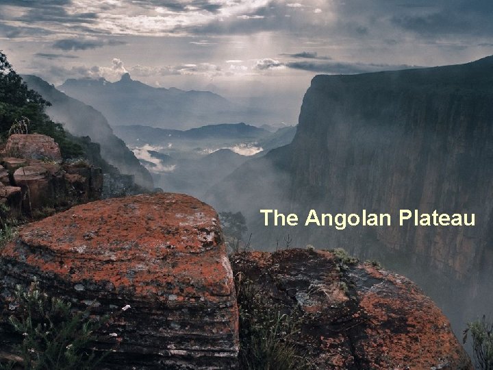 The Angolan Plateau 