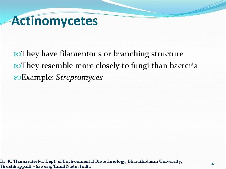 Actinomycetes They have filamentous or branching structure They resemble more closely to fungi than