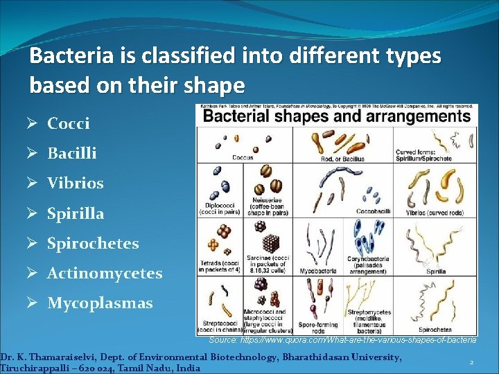Bacteria is classified into different types based on their shape Ø Cocci Ø Bacilli