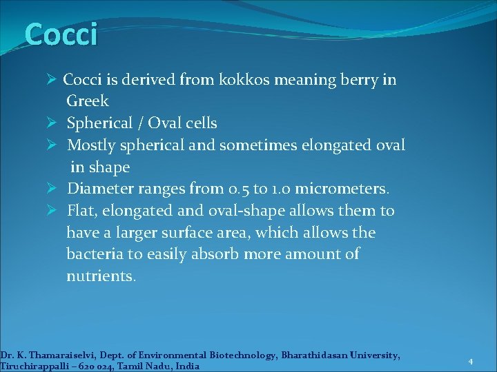 Cocci Ø Cocci is derived from kokkos meaning berry in Greek Ø Spherical /