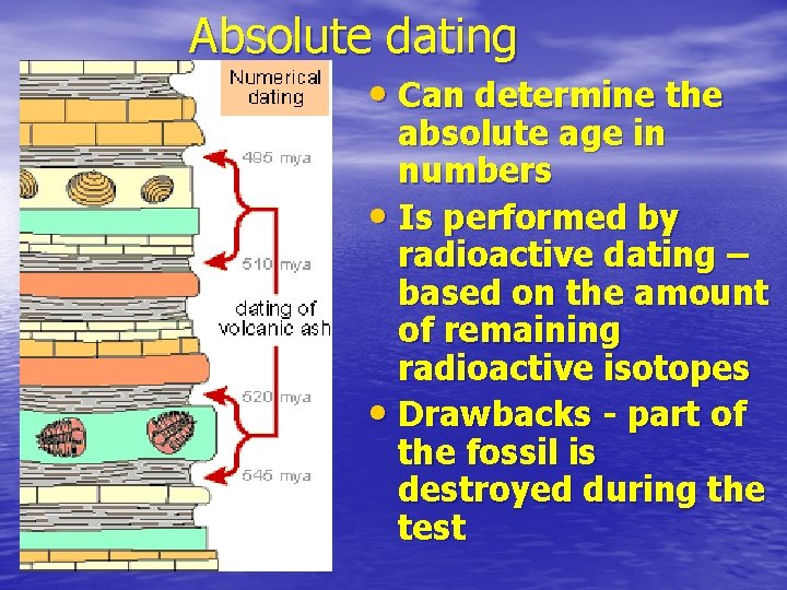 Absolute dating • Can determine the absolute age in numbers • Is performed by
