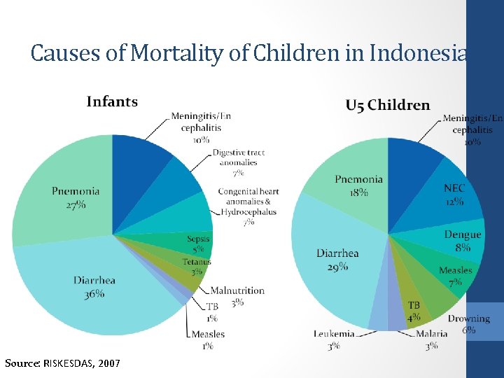 Causes of Mortality of Children in Indonesia Source: RISKESDAS, 2007 