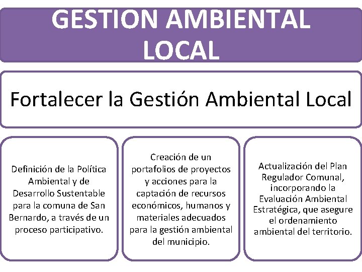GESTION AMBIENTAL LOCAL Fortalecer la Gestión Ambiental Local Definición de la Política Ambiental y