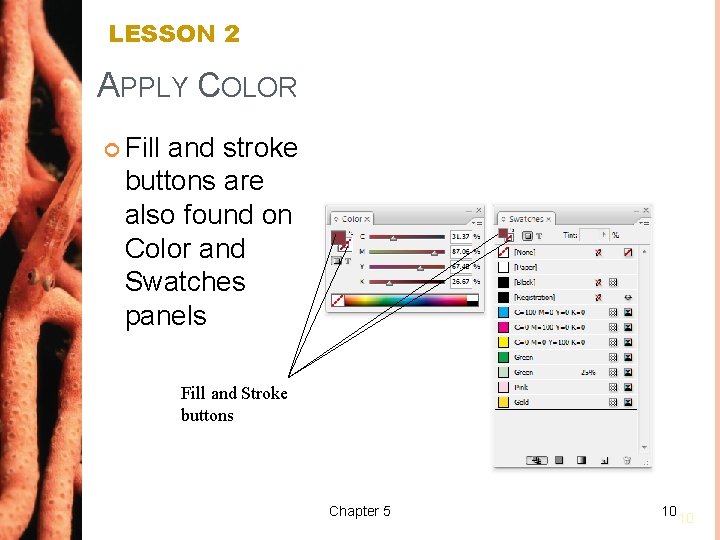 LESSON 2 APPLY COLOR Fill and stroke buttons are also found on Color and
