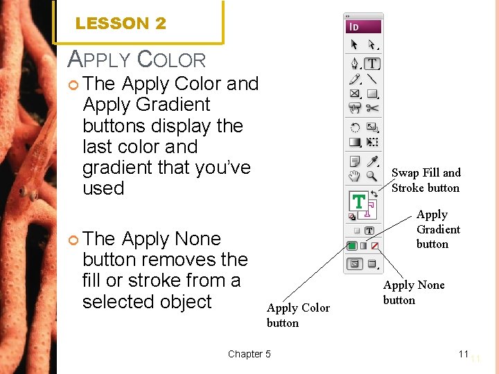 LESSON 2 APPLY COLOR The Apply Color and Apply Gradient buttons display the last