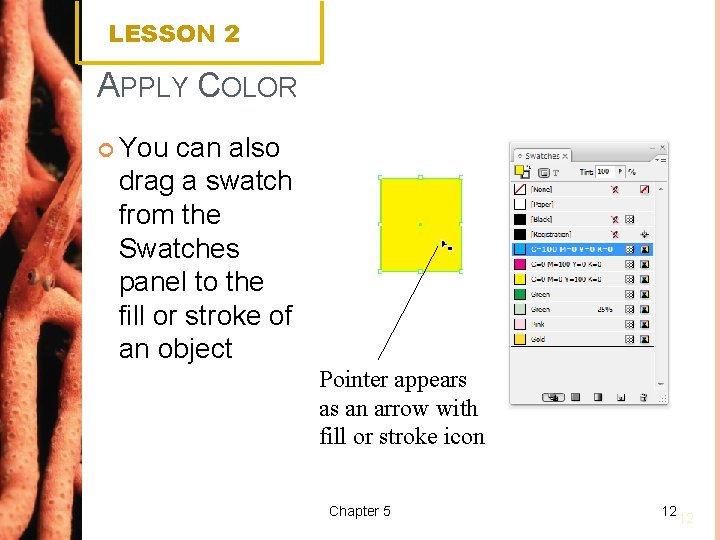 LESSON 2 APPLY COLOR You can also drag a swatch from the Swatches panel