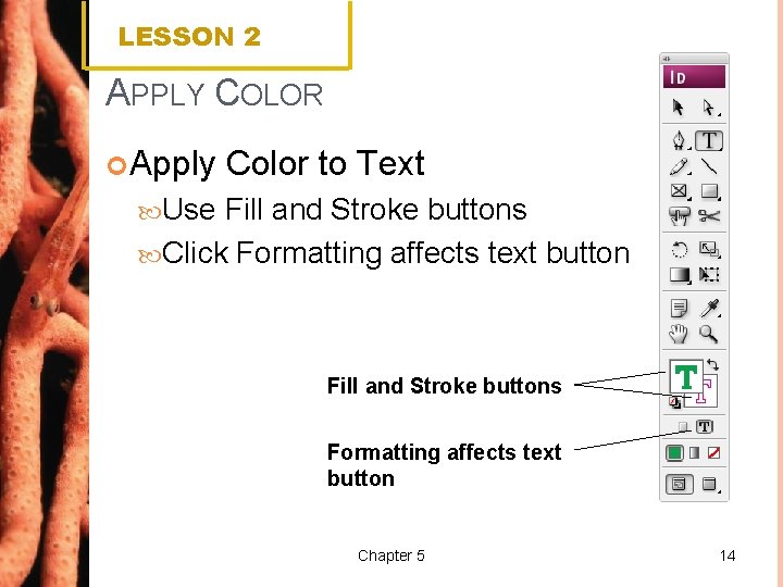 LESSON 2 APPLY COLOR Apply Color to Text Use Fill and Stroke buttons Click