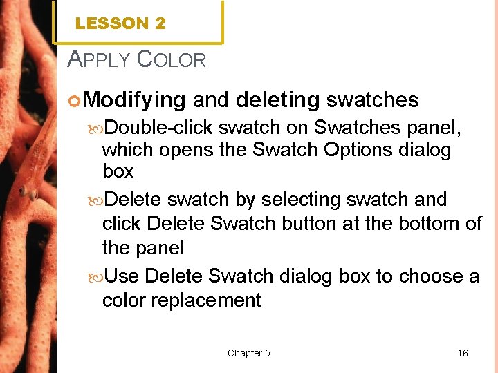 LESSON 2 APPLY COLOR Modifying and deleting swatches Double-click swatch on Swatches panel, which