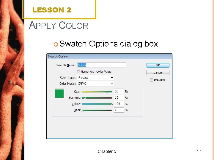 LESSON 2 APPLY COLOR Swatch Options dialog box Chapter 5 17 