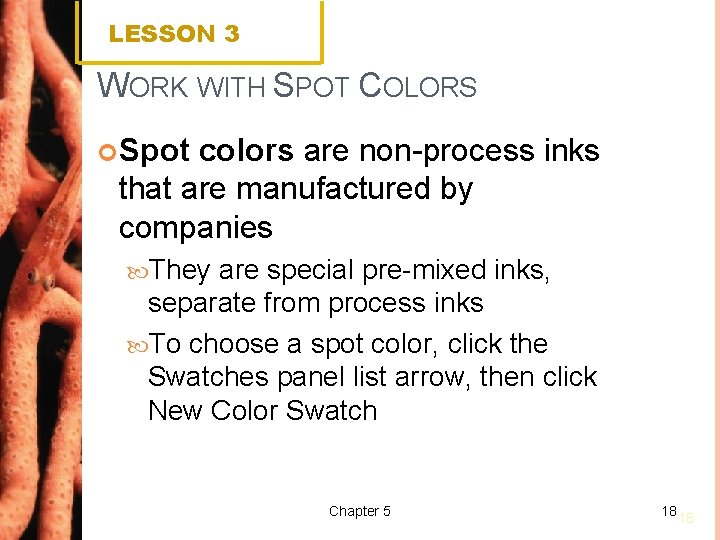 LESSON 3 WORK WITH SPOT COLORS Spot colors are non-process inks that are manufactured
