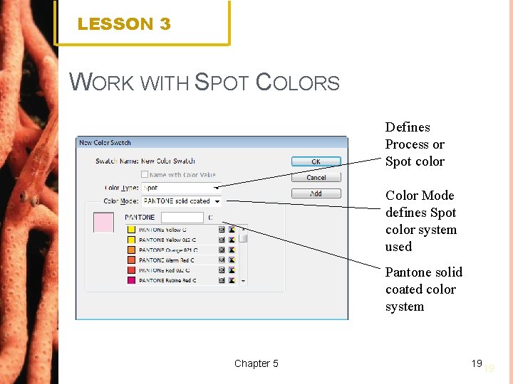 LESSON 3 WORK WITH SPOT COLORS Defines Process or Spot color Color Mode defines