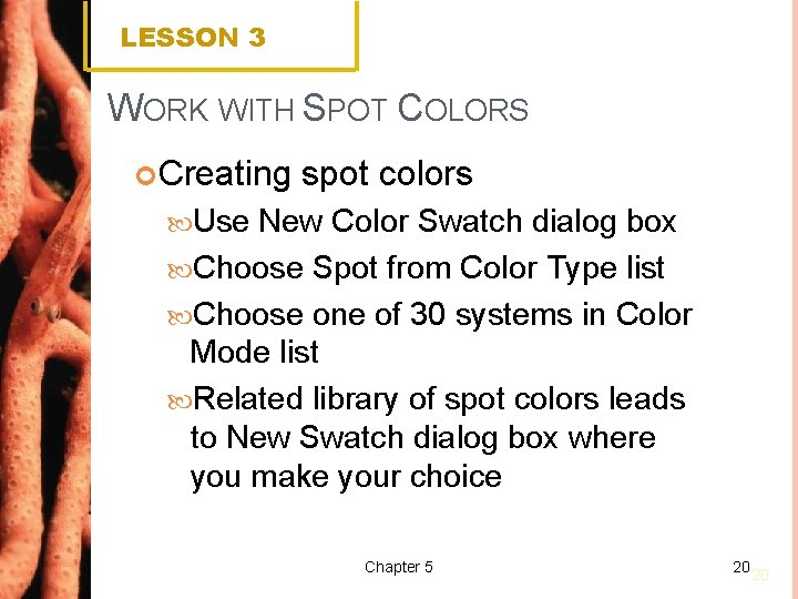 LESSON 3 WORK WITH SPOT COLORS Creating spot colors Use New Color Swatch dialog