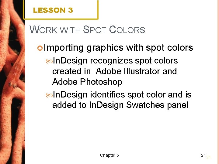 LESSON 3 WORK WITH SPOT COLORS Importing graphics with spot colors In. Design recognizes