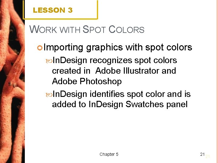 LESSON 3 WORK WITH SPOT COLORS Importing graphics with spot colors In. Design recognizes