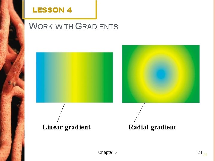 LESSON 4 WORK WITH GRADIENTS Linear gradient Radial gradient Chapter 5 24 24 