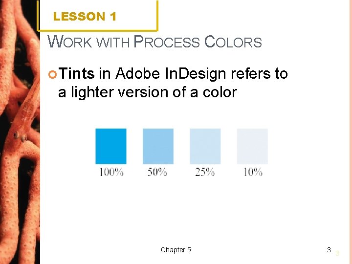 LESSON 1 WORK WITH PROCESS COLORS Tints in Adobe In. Design refers to a